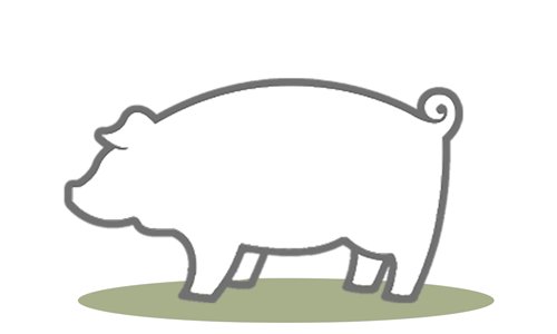 G.A.P. Species: Pigs